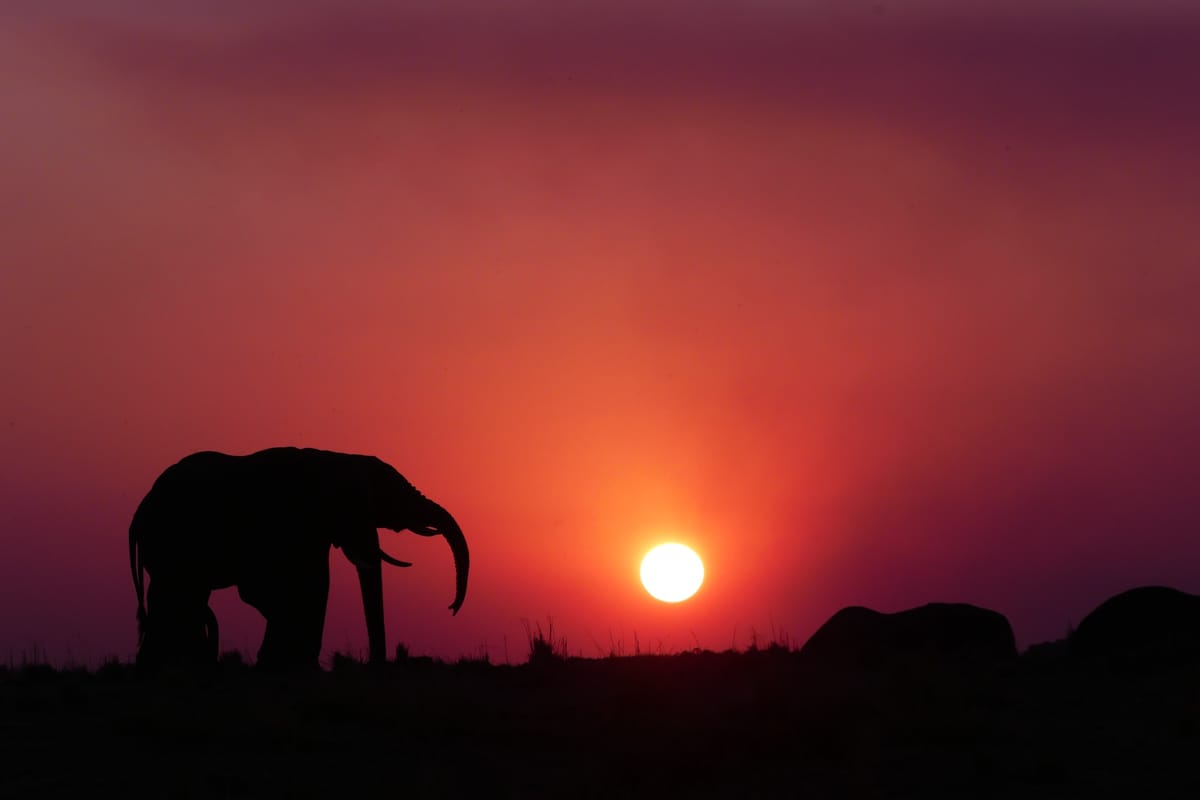 Coucher de soleil sur la rivière Chobe, Botswana